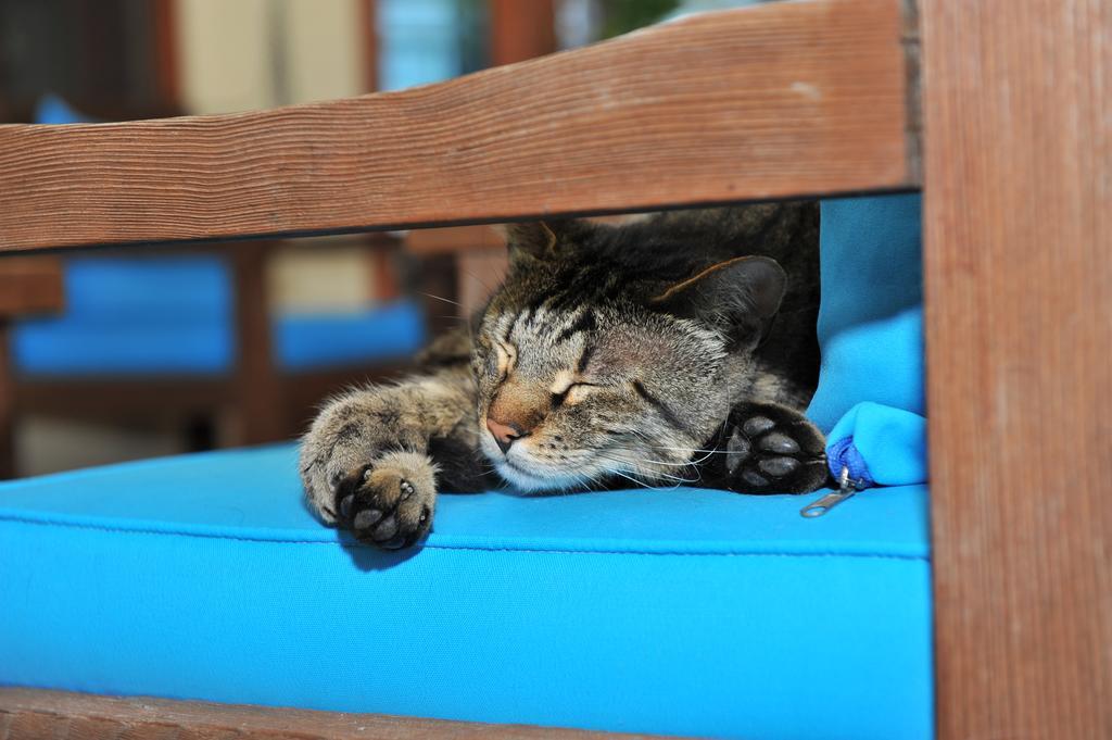 Grenadine Lodge Dalyan Dış mekan fotoğraf